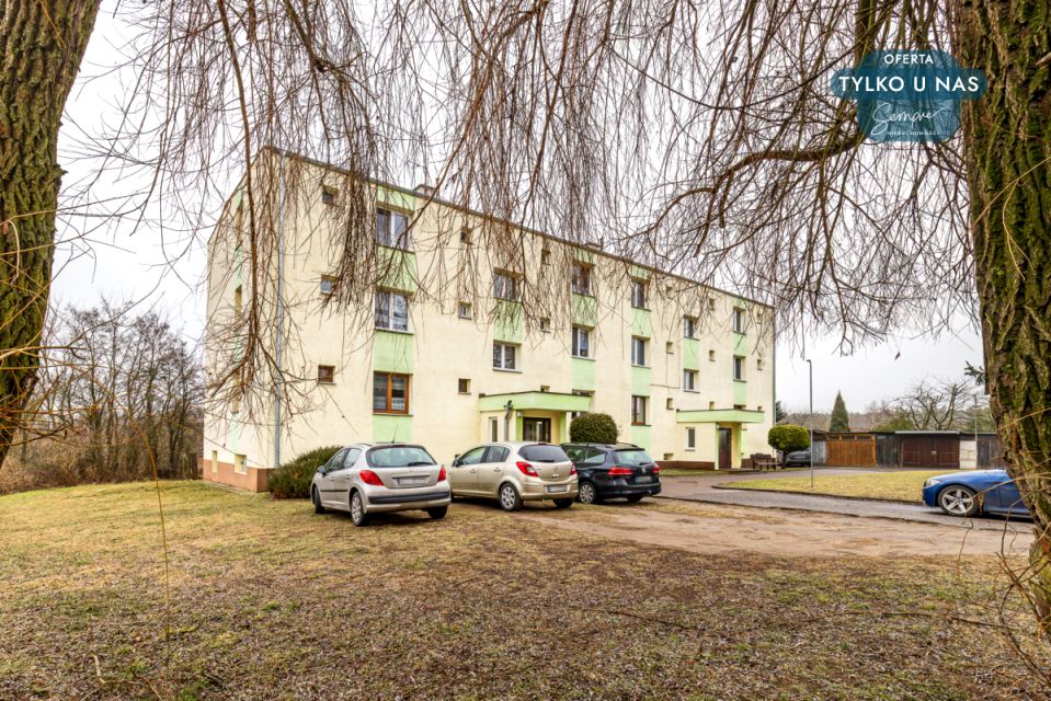 Mieszkanie Skęczniew