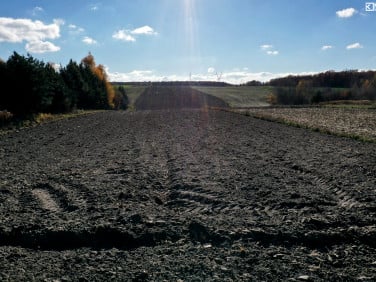 Działka budowlana Polanówka