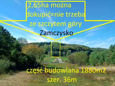 Zalesiona działka Nowa Zbelutka