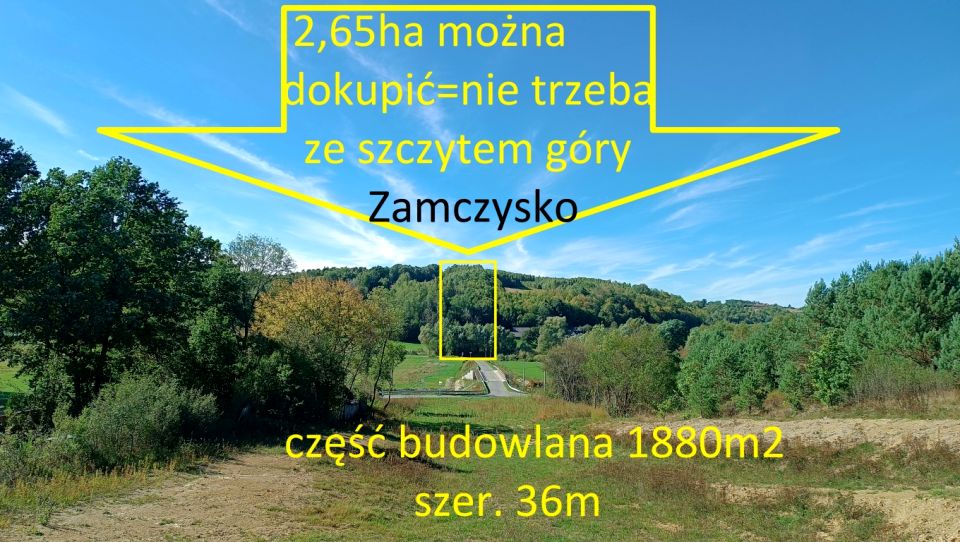 Zalesiona działka Nowa Zbelutka