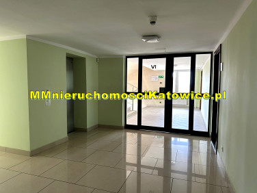 Lokal Katowice wynajem