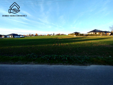 Działka Panieńszczyzna