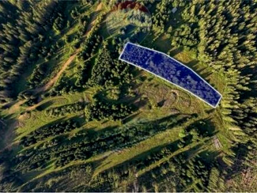 Działka rolna Dzianisz