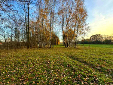 Działka budowlano-rolna Łomnica sprzedam