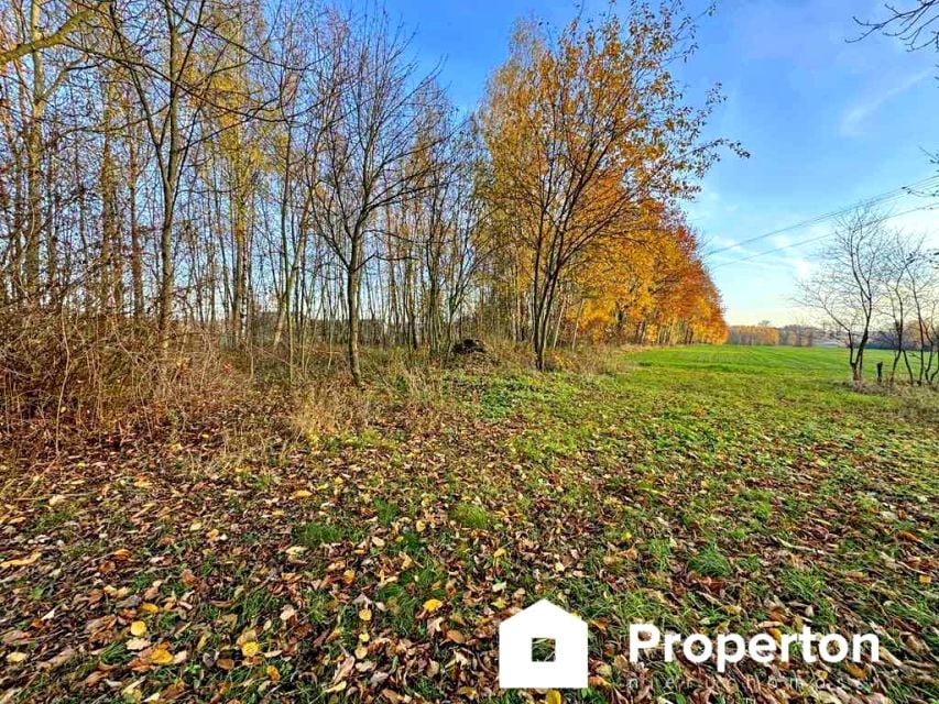 Działka budowlano-rolna Łomnica