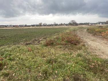 Działka budowlana Chrzanów Mały