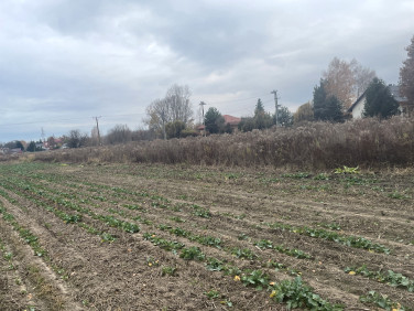 Działka budowlana Chrzanów Duży sprzedam
