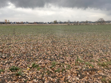 Działka budowlana Chrzanów Mały