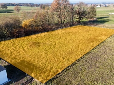 Działka przy lesie