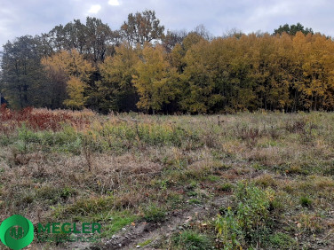 Działka budowlana Rusiec