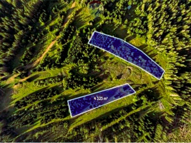 Działka rolna Dzianisz