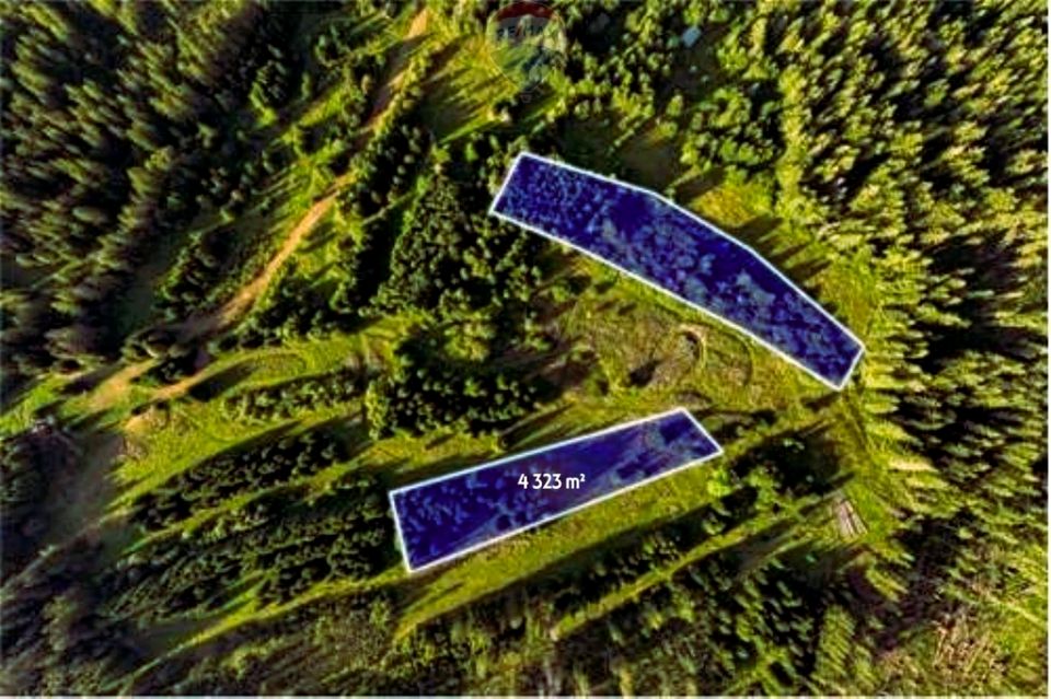 Działka rolna Dzianisz