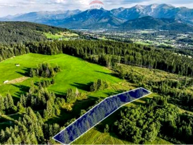 Działka rolna Dzianisz