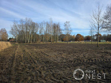 Działka inna Siedliska