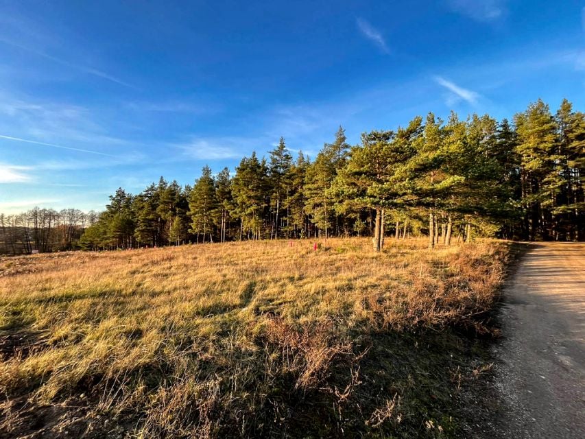 Działka budowlana Ciasne