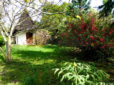 Działka rekreacyjna Kraków