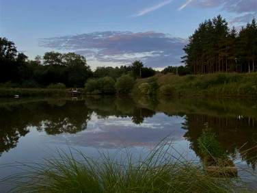 Działka siedliskowa Chocimino