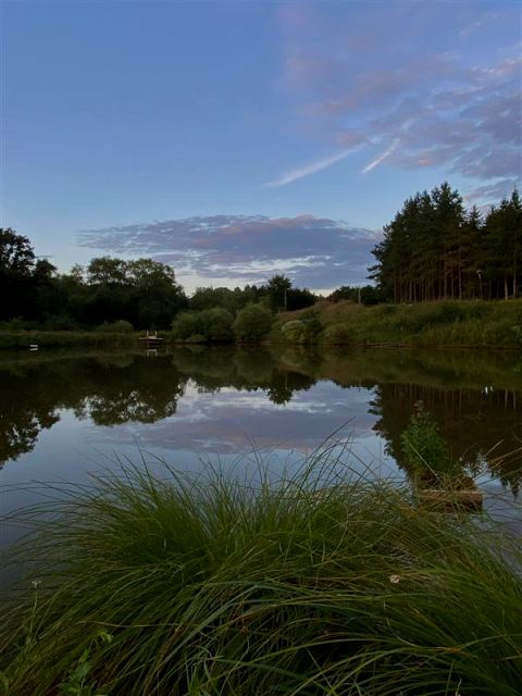 Działka siedliskowa Chocimino