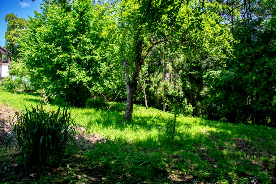 Działka budowlana Siedlec sprzedam