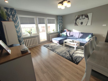 Mieszkanie Piotrków Trybunalski