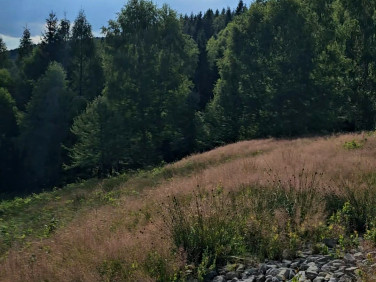 Działka budowlana Kocierz Rychwałdzki