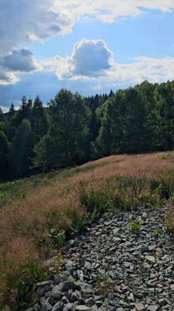 Działka budowlana Kocierz Rychwałdzki