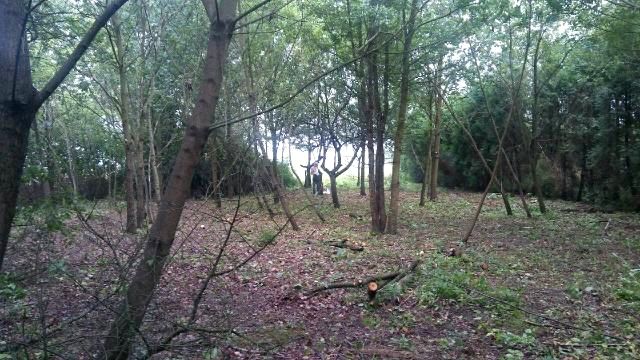 Działka budowlana Jachranka