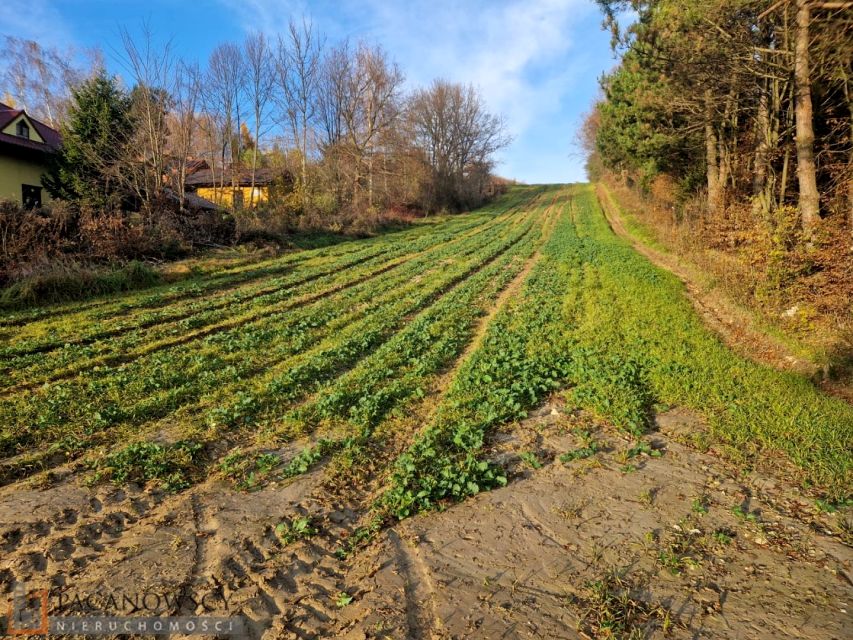 Działka budowlana Maszków