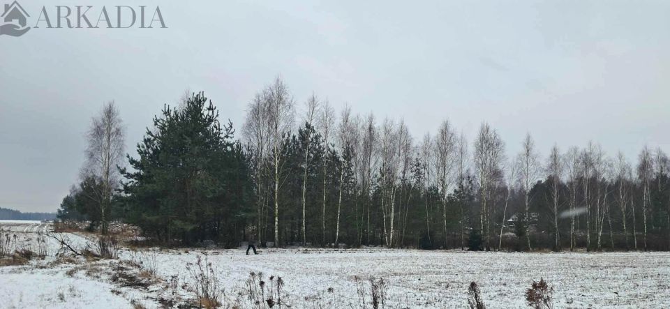 Działka budowlana Zielona