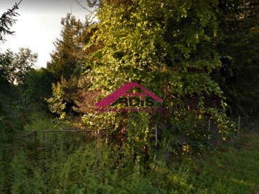 Zabudowana działka Słomczyn