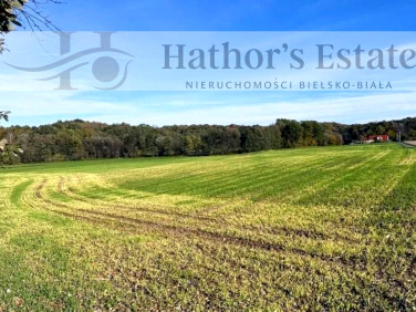 Działka inwestycyjna Bielsko-Biała sprzedam