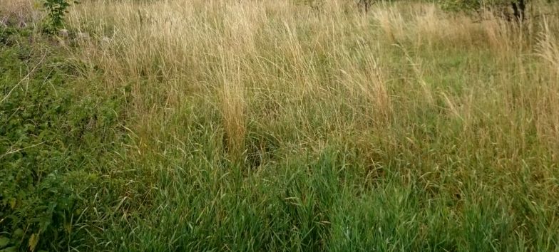 Działka budowlana Duchnice sprzedam