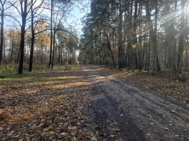 Działka przemysłowa Duchnów