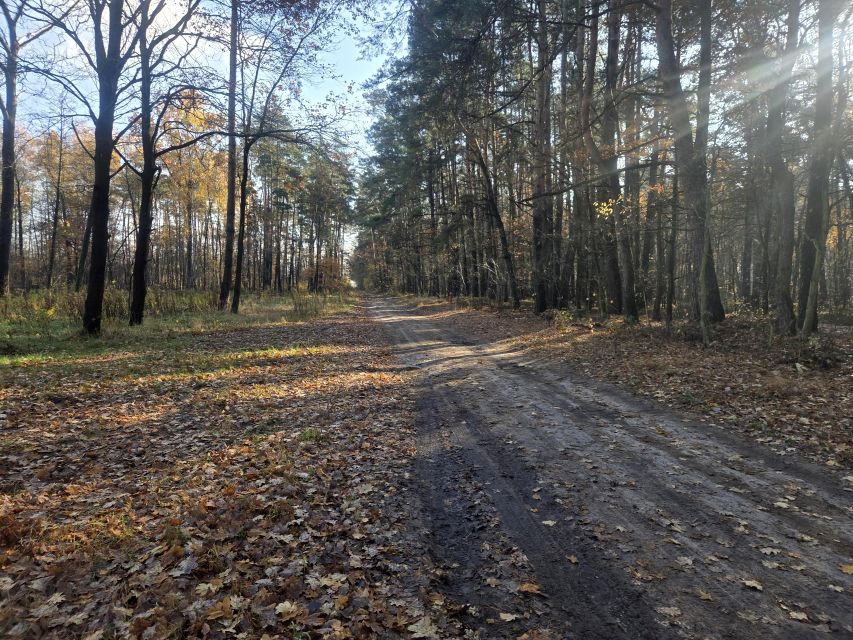 Działka przemysłowa Duchnów