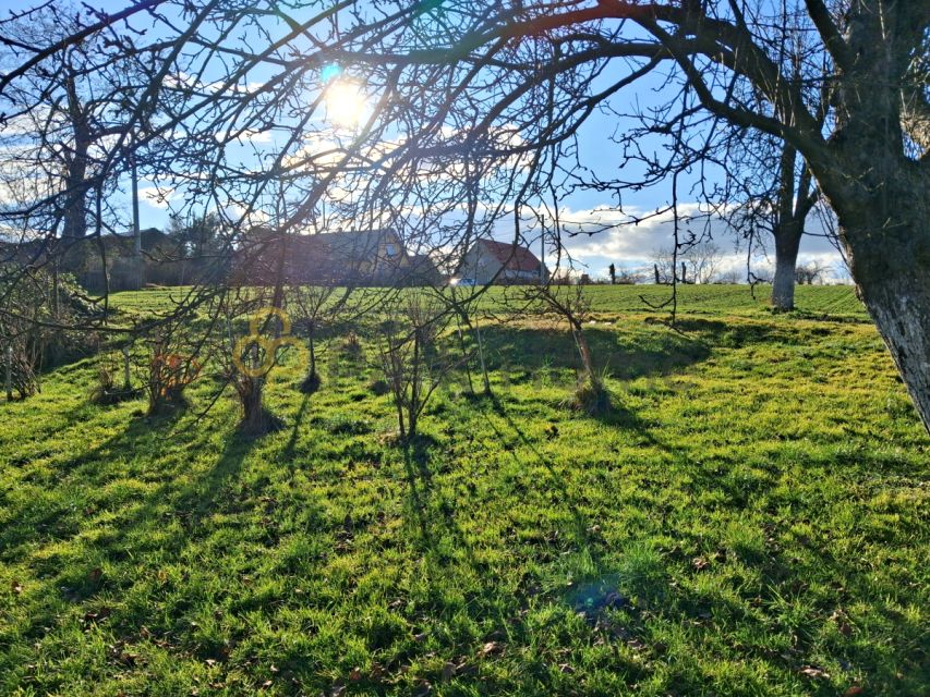 Działka budowlana Kurów Wielki