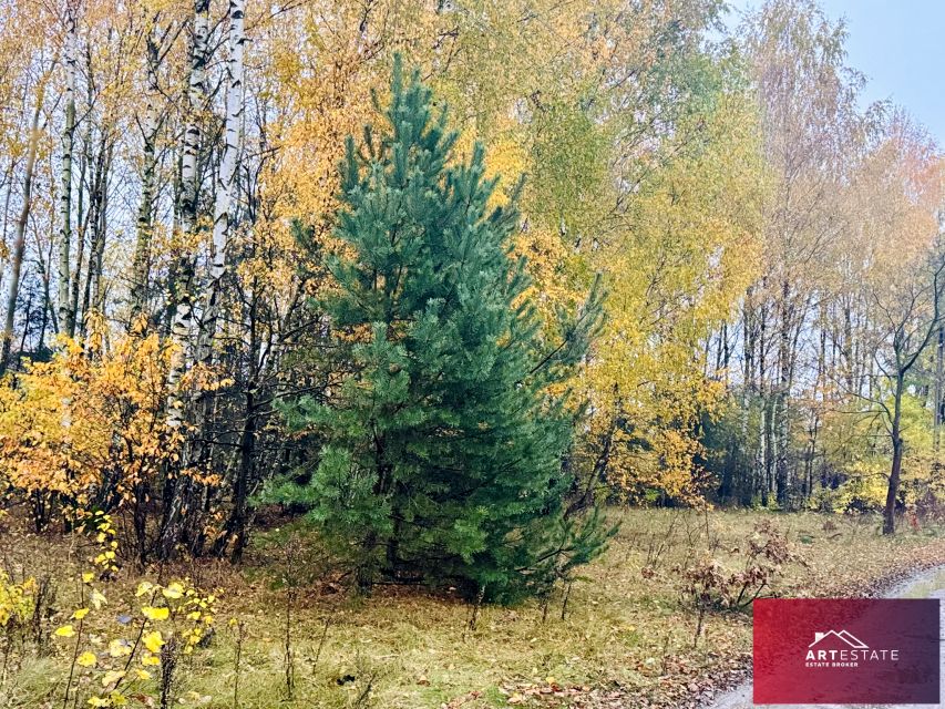 Działka budowlana Słowak