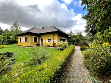 Dom Zębice sprzedaż