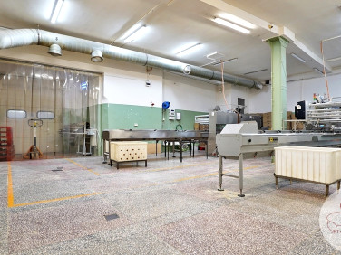 Budynek użytkowy Puszczykowo