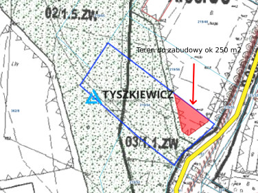 Działka usługowa Domachowo sprzedam