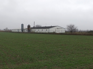 Budynek użytkowy Komorów