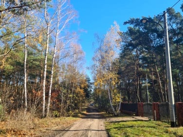 Działka leśna Warszawa