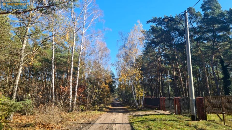 Działka leśna Warszawa