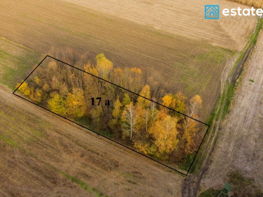 Działka rolna Wybrzeże