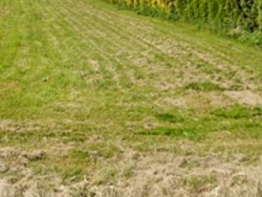 Działka budowlana Święcice sprzedam