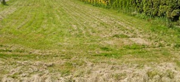 Działka budowlana Święcice sprzedam