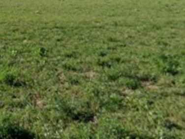 Działka budowlana Kępa Kiełpińska