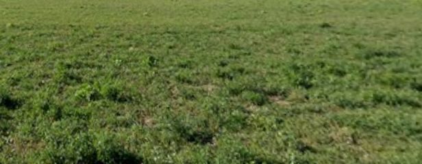 Działka budowlana Kępa Kiełpińska