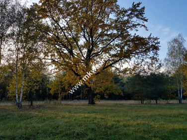 Działka budowlana Makówka sprzedam