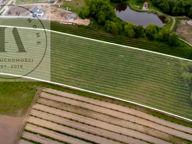 Działka budowlano-rolna Tolkmicko