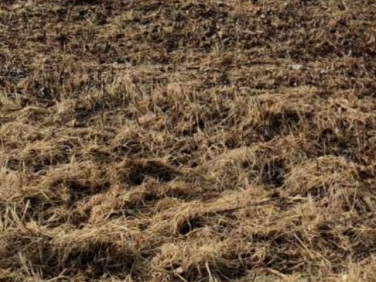 Działka budowlana Wólka Kosowska